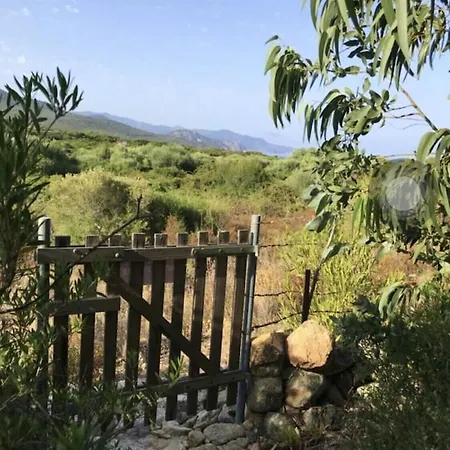 Villa De 3 Chambres A Calvi Avec Magnifique Vue Sur La Mer Piscine Privee Jardin Clos *