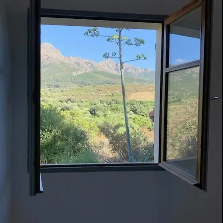 Villa De 3 Chambres A Calvi Avec Magnifique Vue Sur La Mer Piscine Privee Jardin Clos Vila